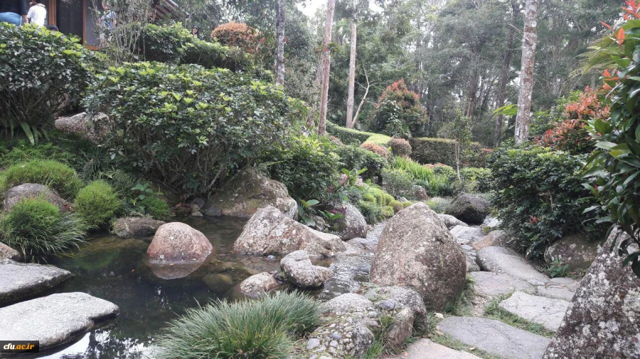 دانشجومعلمان دانشگاه فرهنگیان و کسب تجربه های جدید:

یادداشت های روزانه دانشجو معلمان از سفر به مالزی(یادداشت پنجم) 2