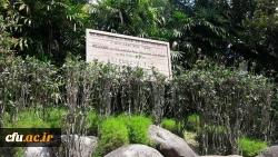 دانشجومعلمان دانشگاه فرهنگیان و کسب تجربه های جدید:

یادداشت های روزانه دانشجو معلمان از سفر به مالزی(یادداشت پنجم) 2