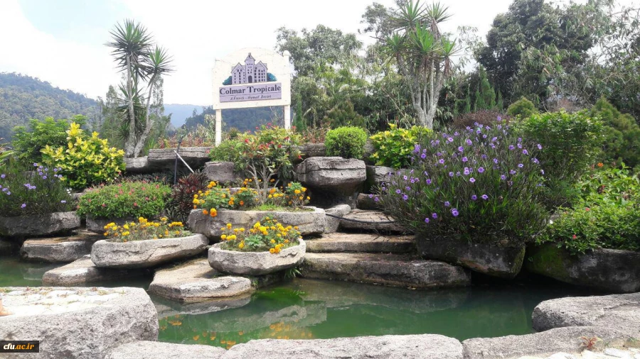 دانشجومعلمان دانشگاه فرهنگیان و کسب تجربه های جدید:

یادداشت های روزانه دانشجو معلمان از سفر به مالزی(یادداشت پنجم) 2