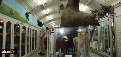 بازدید جمعی از دانشجومعلمان پردیس شهیدان پاک نژاد از موزه علوم طبیعی یزد