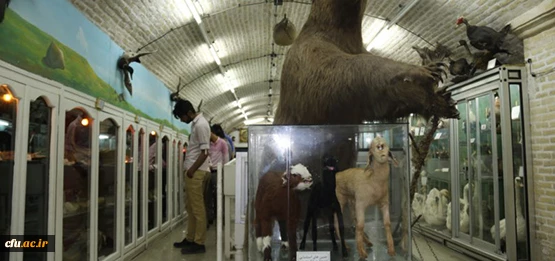 بازدید جمعی از دانشجومعلمان پردیس شهیدان پاک نژاد از موزه علوم طبیعی یزد 2