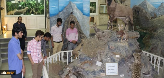 بازدید جمعی از دانشجومعلمان پردیس شهیدان پاک نژاد از موزه علوم طبیعی یزد 3