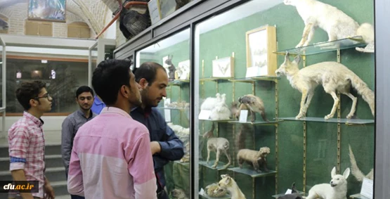 بازدید جمعی از دانشجومعلمان پردیس شهیدان پاک نژاد از موزه علوم طبیعی یزد 10