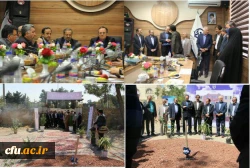 دکتر مهرمحمدی در مراسم کلنگ زنی سرای دانشجویی کوثر مشهد:

دانشگاه فرهنگیان نیازمند سرمایه گذاری های بسیار گسترده تر است 2