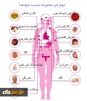 عوارض مصرف فست فودها