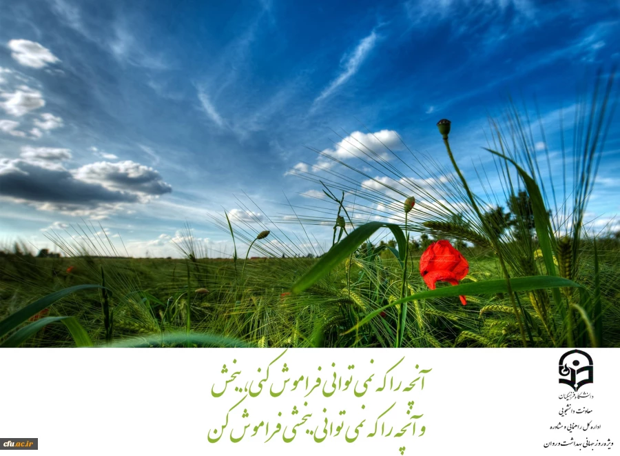 آنچه نمی توانی فراموش کنی ببخش