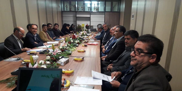 نشست علمی تخصصی مدیران گروه های آموزشی و اساتید دانشگاه فرهنگیان خراسان جنوبی 5