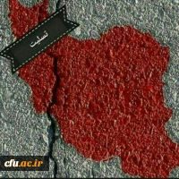 چو عضوی به درد آورد روزگار*****دگر عضوها را نماند قرار