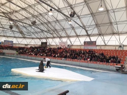 بازدید کارکنان سازمان مرکزی از مجموعه تفریحی دلفیناریوم برج میلاد 2