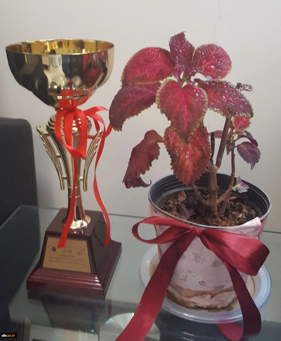 پیام تبریک اداره کل پشتیبانی و رفاه کارکنان 

به مناسبت کسب مقام سوم تیم شطرنج سازمان مرکزی در مسابقات منطقه یک کشوری وزارت علوم، تحقیقات و فناوری 2