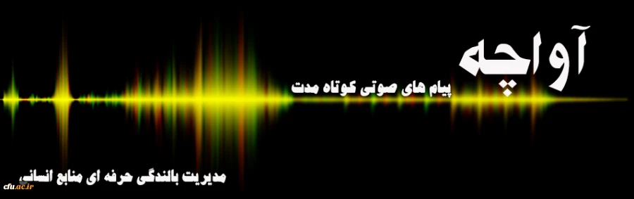 آواچه(پیام های صوتی کوتاه مدت مدیریت بالندگی حرفه ای منابع انسانی) 2