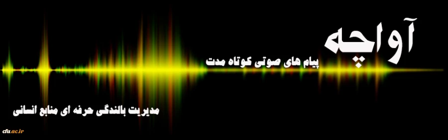 آواچه(پیام های صوتی کوتاه مدت مدیریت بالندگی حرفه ای منابع انسانی) 2