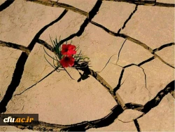 برو بیرون من خودم باید این شهید را کفن کنم. 2