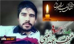 پیام تسلیت معاونت محترم فرهنگی در پی درگذشت دانشجو معلم جهادگر نجف عبدالهی 2