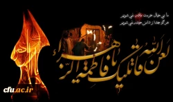 فاطمیه آمد و آن مونس و همدم کجاست؟ شمع میپرسد ز پروانه گل نرگس کجاست؟
در عزای مادرت یابن الحسن یکدم  بیا ، تا نپرسد این جماعت بانی مجلس کجاست؟ 2