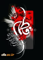 فاطمیه آمد و آن مونس و همدم کجاست؟ شمع میپرسد ز پروانه گل نرگس کجاست؟
در عزای مادرت یابن الحسن یکدم  بیا ، تا نپرسد این جماعت بانی مجلس کجاست؟ 2