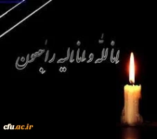 پیام تسلیت معاون دانشجویی دانشگاه فرهنگیان مع درپی سقوط هواپیمای مسافربری تهران- یاسوج