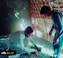 به همت گروه جهادی شهید تنیده بسیج دانشجویی دانشگاه فرهنگیان هرمزگان برگزار شد :

چهارمین اردوی جهادی دانشجویان دانشگاه فرهنگیان هرمزگان در منطقه محروم بشاگرد
 3