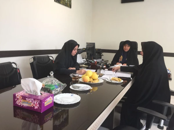 دومین جلسه بررسی نمایه عملیاتی 1397  اداره خدمات مشاوره ای و نقد نمایه سال  96