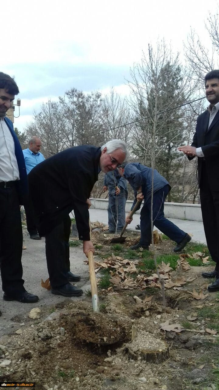 کاشت نهال به مناسبت روز درختکاری 3