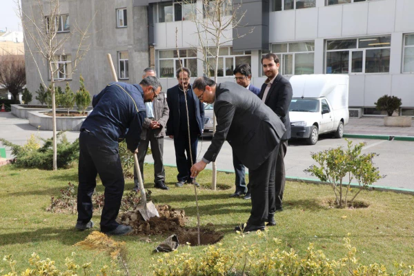 کاشت نهال به مناسبت روز درختکاری 5