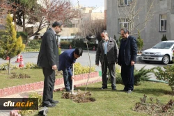 کاشت نهال به مناسبت روز درختکاری 6