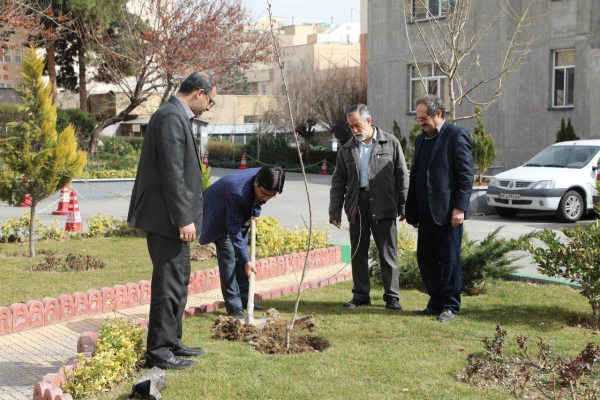 کاشت نهال به مناسبت روز درختکاری 6