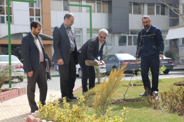 کاشت نهال به مناسبت روز درختکاری 7