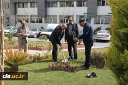 کاشت نهال به مناسبت روز درختکاری 8