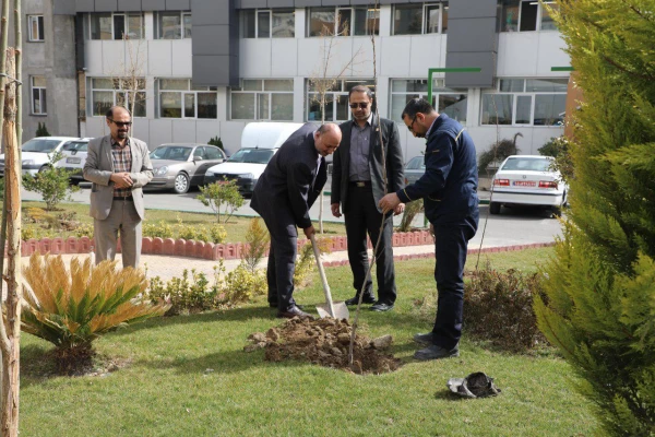 کاشت نهال به مناسبت روز درختکاری 8