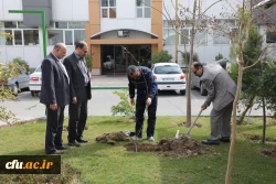 کاشت نهال به مناسبت روز درختکاری 9