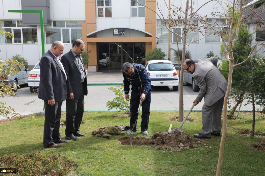 کاشت نهال به مناسبت روز درختکاری 9