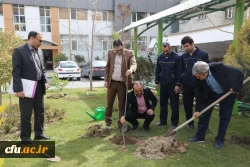 کاشت نهال به مناسبت روز درختکاری 10