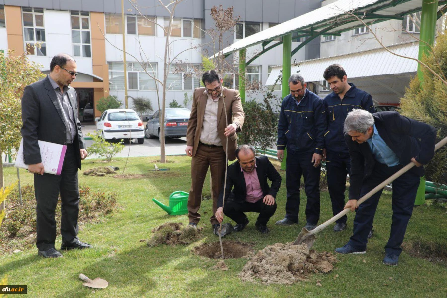 کاشت نهال به مناسبت روز درختکاری 10