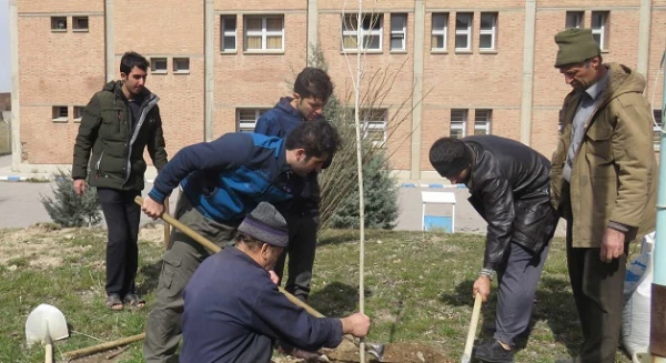 به مناسبت 15 اسفند روز درختکاری :

کاشت 200 اصله نهال در محوطه پردیس علامه امینی(ره) 2