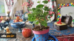 برپایی غرفه نوروز در پردیس بنت الهدی صدر اردبیل 4