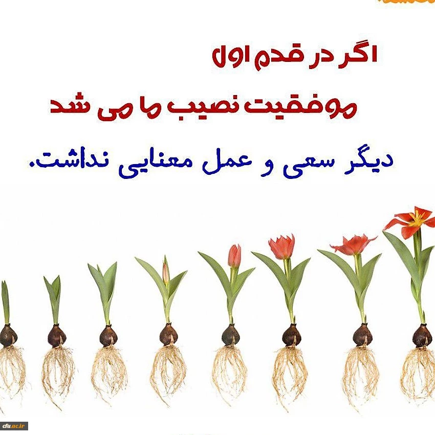 پیام مشاوره ای