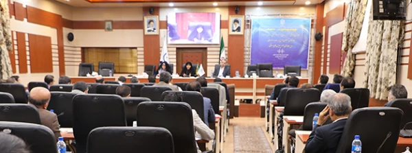 دکتر علی نژاد در دوره آموزشی تخصصی معاونان توسعه منابع و امور دانشجویی استان ها:

آینده نگری زمانی اتفاق می افتد که معاونان استانی بتوانند پلی بین خودشان و دانشجو معلمان برقرار کنند 3