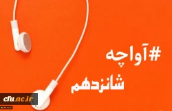 آواچه(پیام های صوتی کوتاه مدت مدیریت بالندگی حرفه ای منابع انسانی) 2