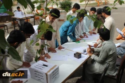 انتخابات شورای صنفی 97