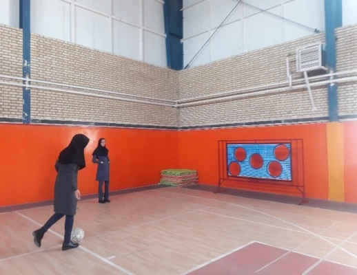 گزارش برگزاری دومین جشنواره ورزش های همگانی و بازی های بومی و محلی استان خراسان جنوبی