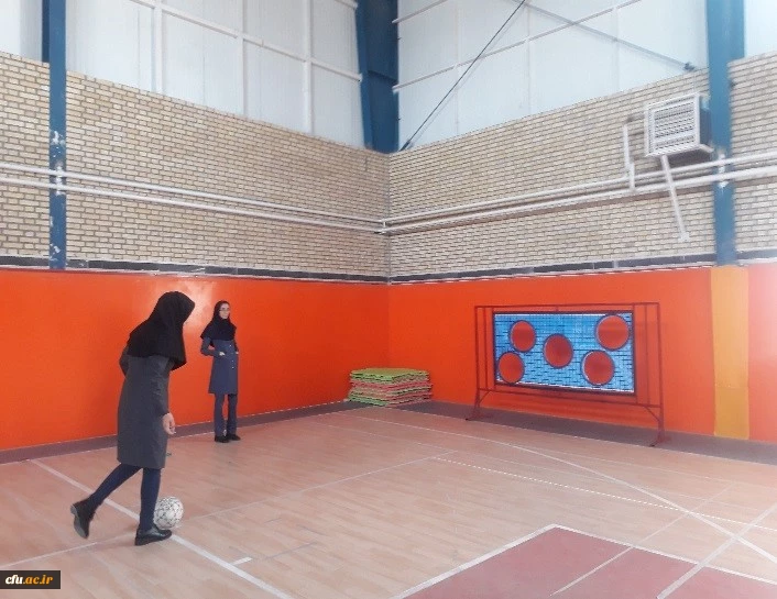 گزارش برگزاری دومین جشنواره ورزش های همگانی و بازی های بومی و محلی استان خراسان جنوبی