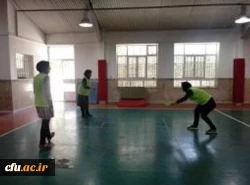 گزارش برگزاری دومین جشنواره ورزش های همگانی و بازی های بومی و محلی استان کرمانشاه