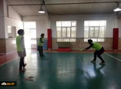 گزارش برگزاری دومین جشنواره ورزش های همگانی و بازی های بومی و محلی استان کرمانشاه