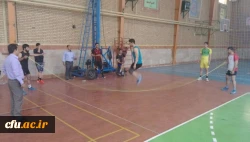 گزارش برگزاری دومین جشنواره ورزش های همگانی و بازی های بومی و محلی استان کرمانشاه