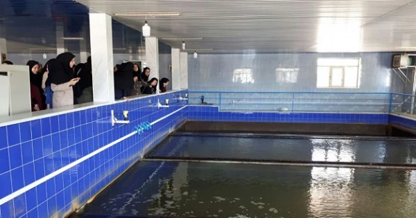 دانشجومعلمان دانشگاه فرهنگیان ارومیه از تصفیه خانه آب آشامیدنی شهرستان ارومیه بازدید کردند  3