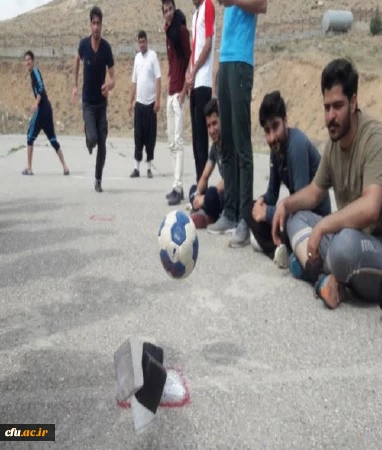 گزارش برگزاری دومین جشنواره ورزش های همگانی و بازی های بومی و محلی استان چهارمحال و بختیاری