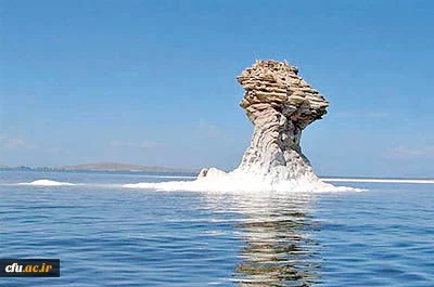 مدیریت امور پردیس های آذربایجان غربی 2