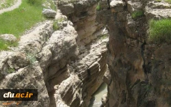 پردیس امام جعفر صادق(ع) ایلام (خواهران) 2