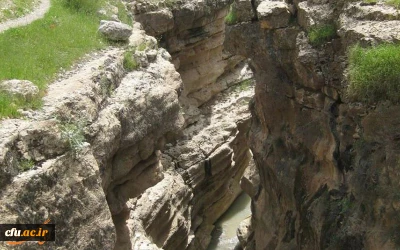 پردیس امام جعفر صادق(ع) ایلام (خواهران)